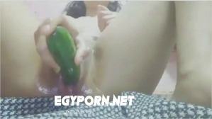 شرموطه مصريه تنيك كسها بالخياره وتنزل كيلو لبن-افلام سكس مصري