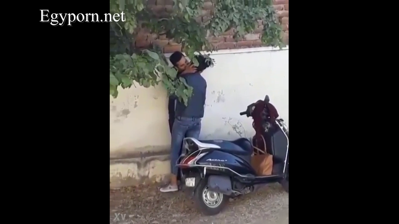 فضيحة مصرية بوس ونيك في الشارع