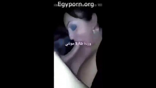 سكس مص زبر شرموطة محترفة تاكل الزب
